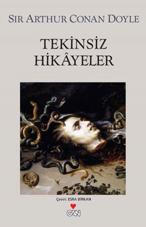 Book cover of Tekinsiz Hikayeler
