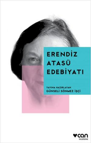 Cover of the book Erendiz Atasü Edebiyatı by Aydın Büke