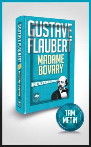 Cover of the book Madame Bovary by Mehmed Niyazi
