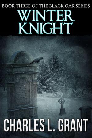 Cover of the book Black Oak 3: Winter Knight by Melanie Nowak