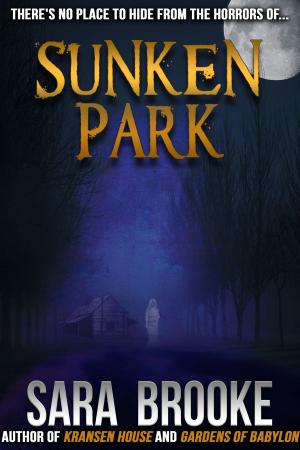 Book cover of Sunken Park