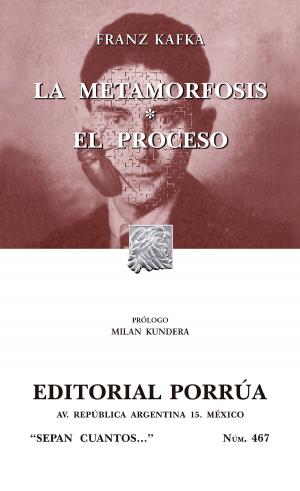 Book cover of La metamorfosis - El proceso