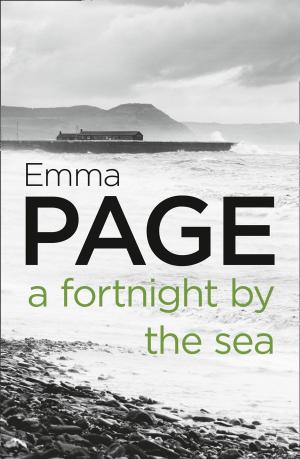 Cover of the book A Fortnight by the Sea by B.E. Seidl