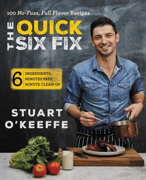 Cover of the book The Quick Six Fix by Stephen Graham Jones