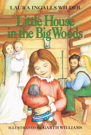Cover of the book Little House in the Big Woods by Lucy Appadoo