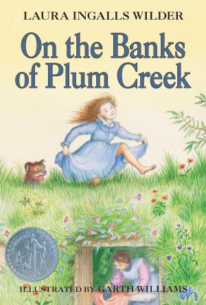 Cover of the book On the Banks of Plum Creek by Terry Pratchett