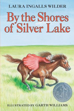 Cover of the book By the Shores of Silver Lake by Kristan Higgins