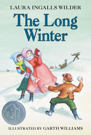 Cover of the book The Long Winter by Sarah Prineas