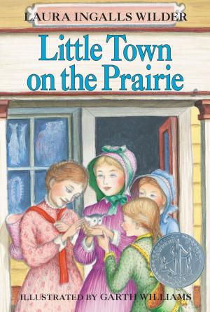 Cover of the book Little Town on the Prairie by Lisa Graff
