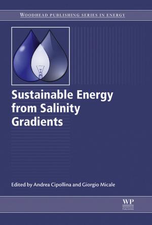 Cover of the book Sustainable Energy from Salinity Gradients by Bryan Barrass