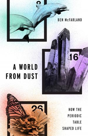 Cover of the book A World From Dust by Kathleen M. Heide