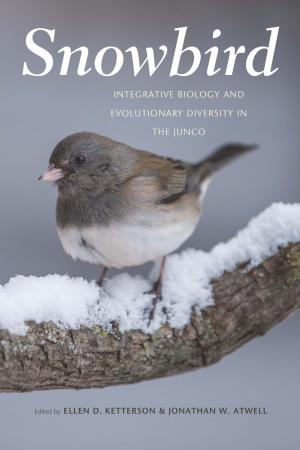 Cover of the book Snowbird by Alan Liu