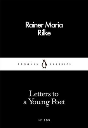 Cover of the book Letters to a Young Poet by Dave Hackett