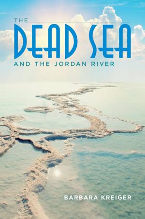 Cover of the book The Dead Sea and the Jordan River by Howard H. Lewis