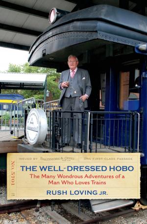 Cover of the book The Well-Dressed Hobo by H. Roger Grant