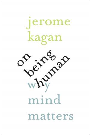 Cover of the book On Being Human by Professor David K. Cohen, Professor Heather C. Hill