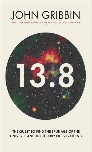 Cover of the book 13.8 by 