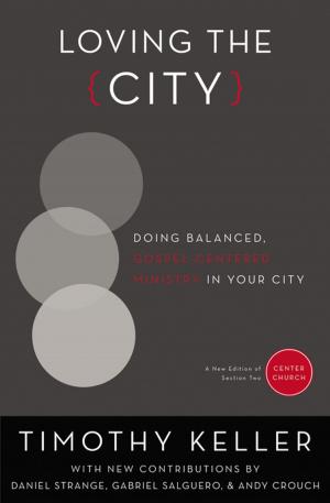 Cover of the book Loving the City by Elizabeth A Swanson, Teresa J. McBean