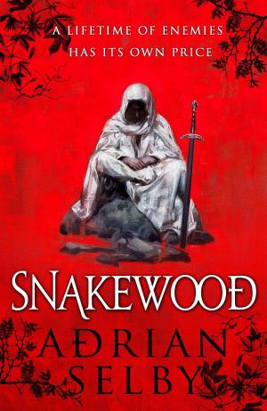 Cover of the book Snakewood by J. Daniel Sawyer