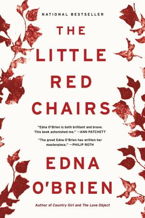 Cover of the book The Little Red Chairs by James Patterson
