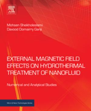 Cover of the book External Magnetic Field Effects on Hydrothermal Treatment of Nanofluid by James Clark