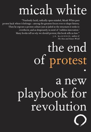 Cover of the book The End of Protest by Anosh Irani