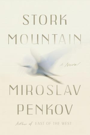 Cover of the book Stork Mountain by Adrienne Sharp