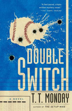 Cover of the book Double Switch by Joe Gores