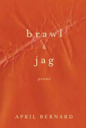 Cover of the book Brawl & Jag: Poems by Hugh Aldersey-Williams
