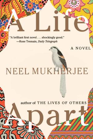 Cover of the book A Life Apart: A Novel by Amanda Filipacchi