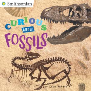 Book cover of Curious About Fossils