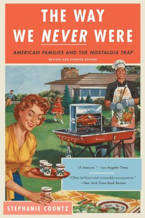 Cover of the book The Way We Never Were by Donna Freitas