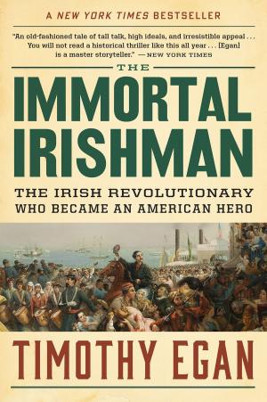 Book cover of The Immortal Irishman