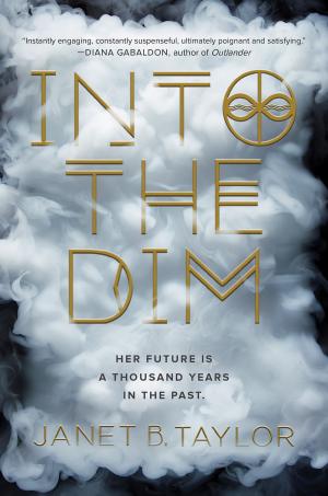 Cover of the book Into the Dim by Mike Luoma