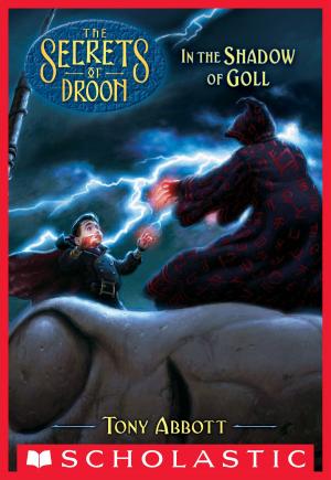 Cover of the book In the Shadow of Goll (The Secrets of Droon #28) by Allan Woodrow