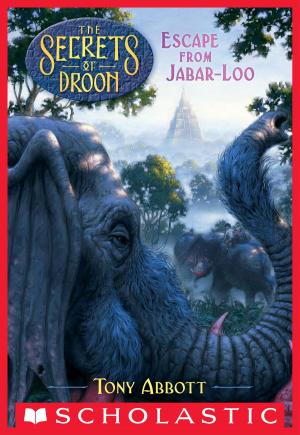 Cover of the book Escape from Jabar-loo (The Secrets of Droon #30) by Geronimo Stilton