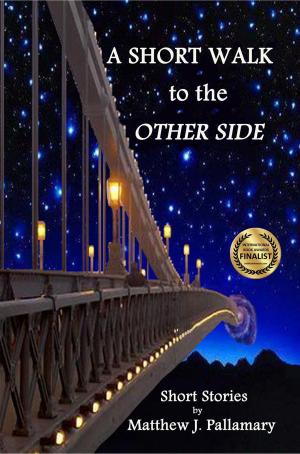 Book cover of A Short Walk to the Other Side