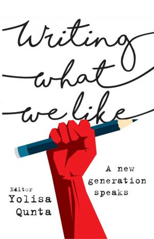 Cover of the book Writing What We Like by Marijke Greeff