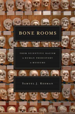 Cover of the book Bone Rooms by Stefan Ihrig