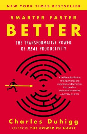 Cover of the book Smarter Faster Better by Ethan Canin