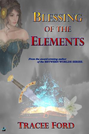 Cover of the book Blessing of the Elements by Chris Burzell