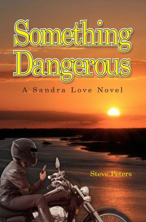 Cover of the book Something Dangerous by Dennis James Ganahl