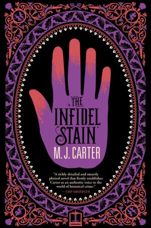 Cover of the book The Infidel Stain by Michael Davis