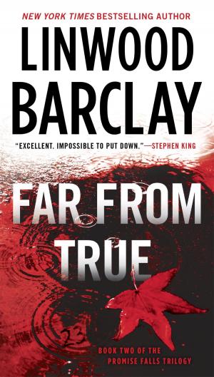 Cover of the book Far From True by Joseph Boyden