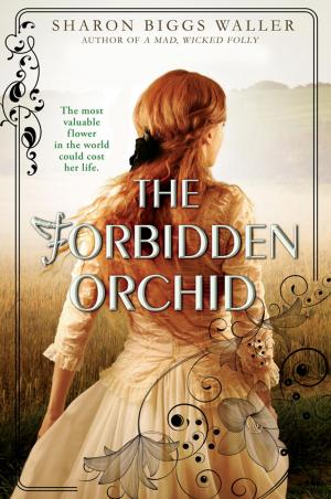 Cover of the book The Forbidden Orchid by Sally Warner
