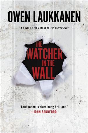Cover of the book The Watcher in the Wall by Frank Hayes