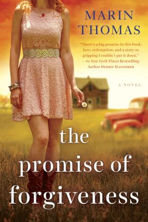 Cover of the book The Promise of Forgiveness by Jonathan Goldstein