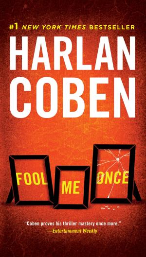 Cover of the book Fool Me Once by Andy Hallam