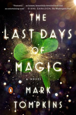 Cover of the book The Last Days of Magic by Cristina Alger