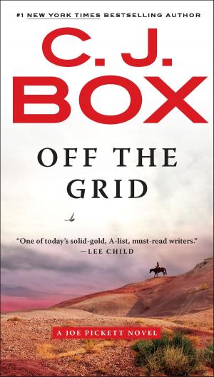 Cover of the book Off the Grid by Mary Pat Hyland